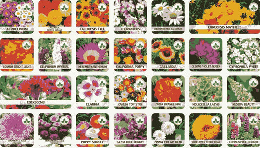 Buy Varieties of Flower Seeds (Pack of 100) And Get Plant Growth Supplement Free - ShoppersDen