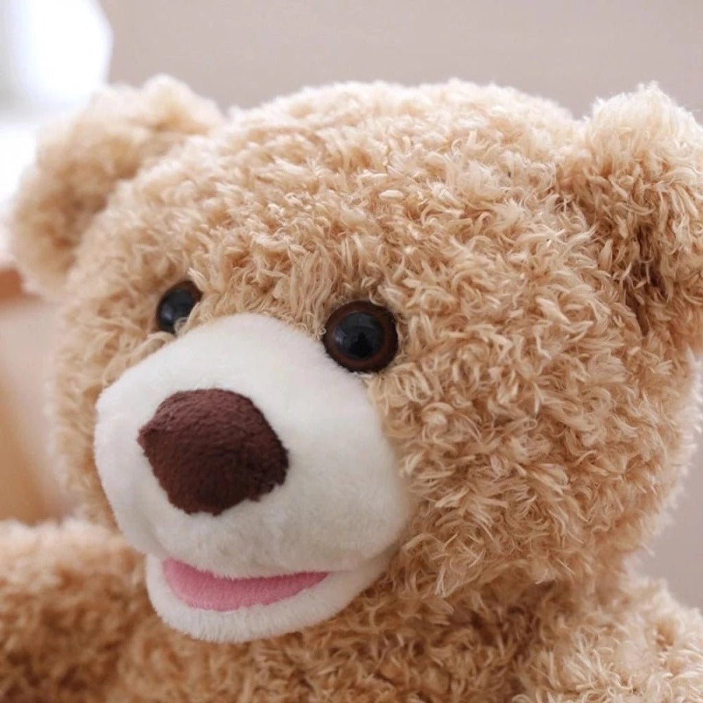 Peek - A - Boo Plush Toy - ShoppersDen