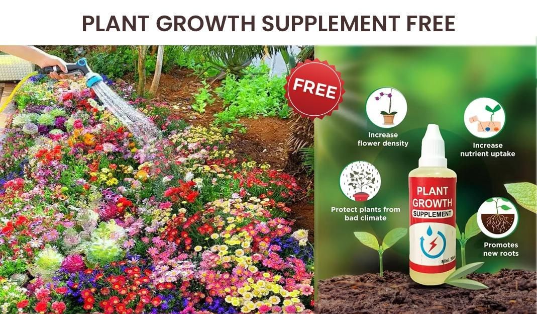 Buy Varieties of Flower Seeds (Pack of 100) And Get Plant Growth Supplement Free - ShoppersDen
