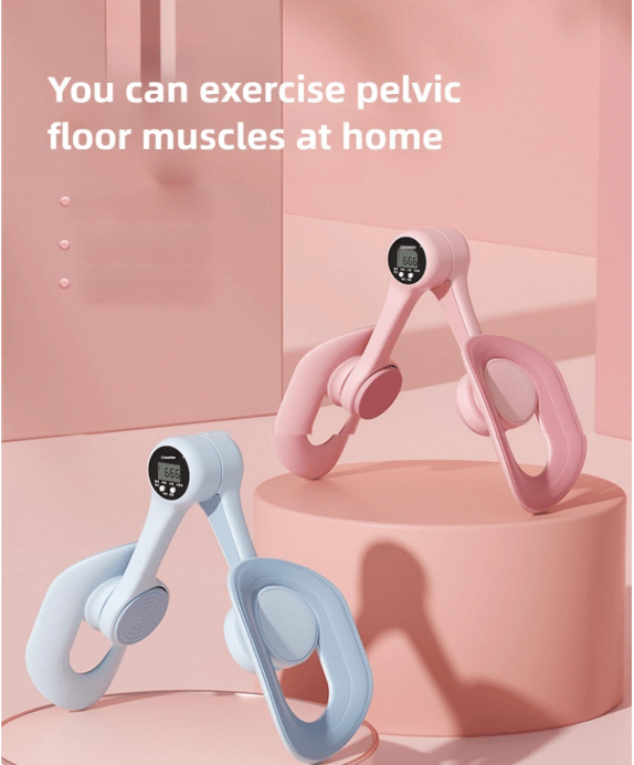 Hip & Pelvis Trainer – Thigh Toner - Fitness Equipment - ShoppersDen